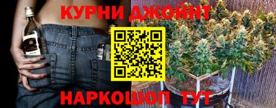 молекула духа Гагарин