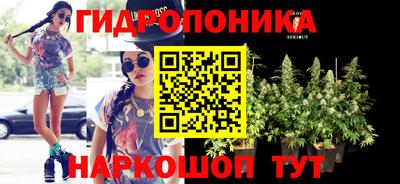 молекула духа Гагарин