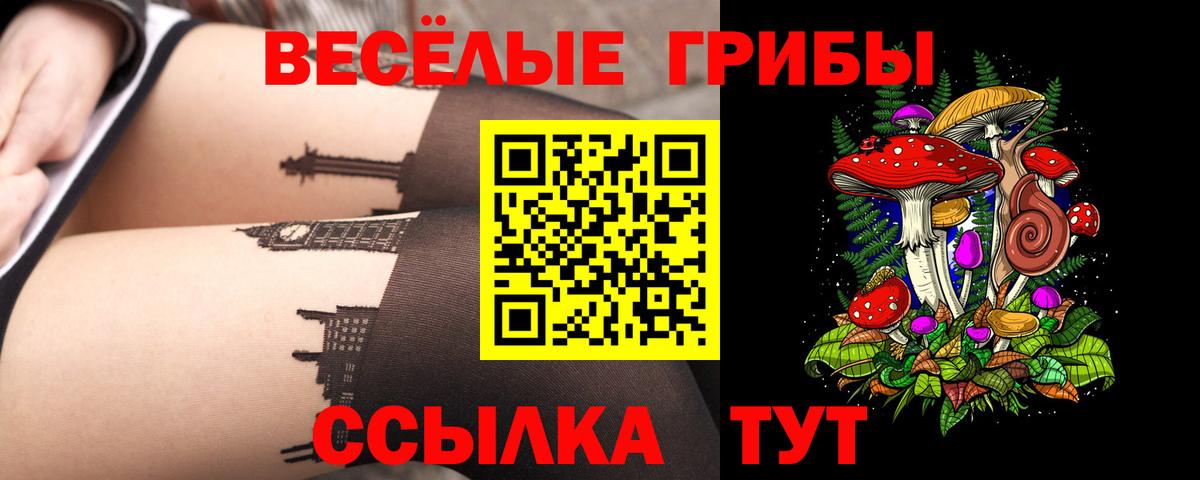 Галлюциногенные грибы Cubensis Когалым